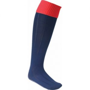 Landau Forte Academy QEMS Pe Socks
