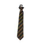 Kingsbury High School  Tie