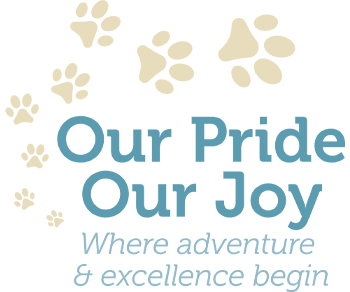 Dosthill Nursery & Care Club
