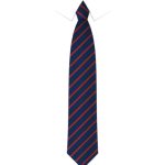 Blue Coat C.E. Junior School Tie