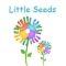 Little Seeds Nursery